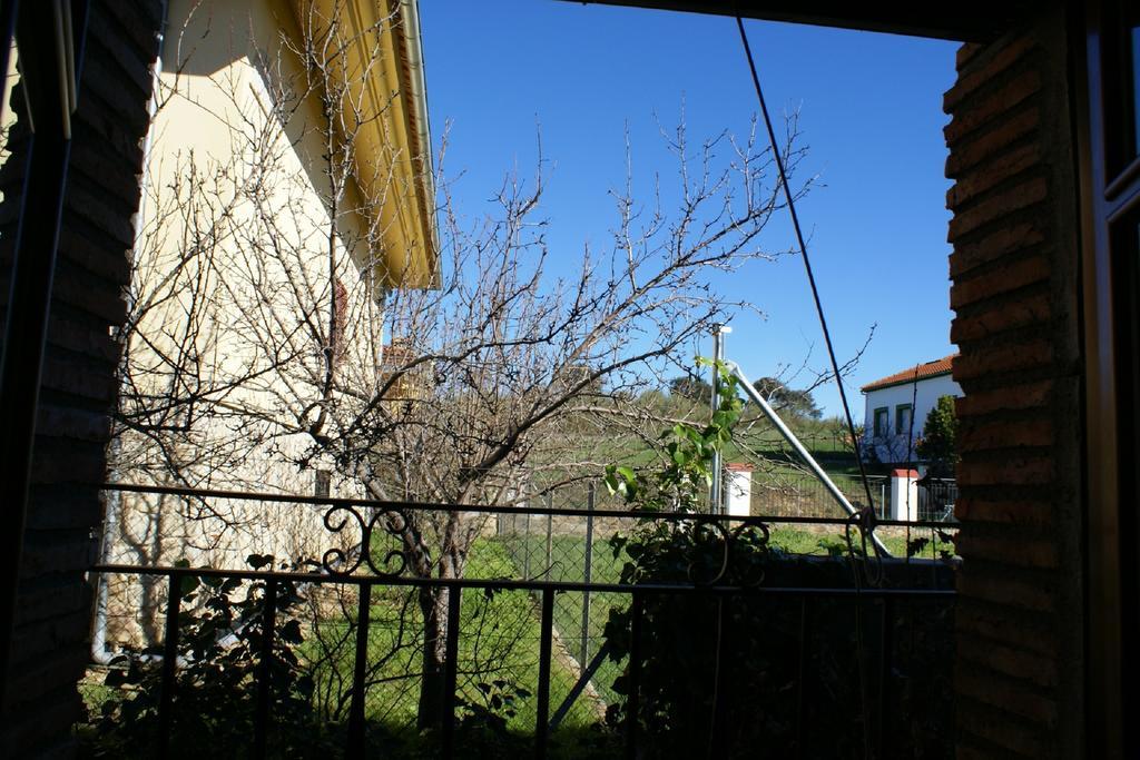 Casa Rural Pena Falcon Torrejón el Rubio エクステリア 写真
