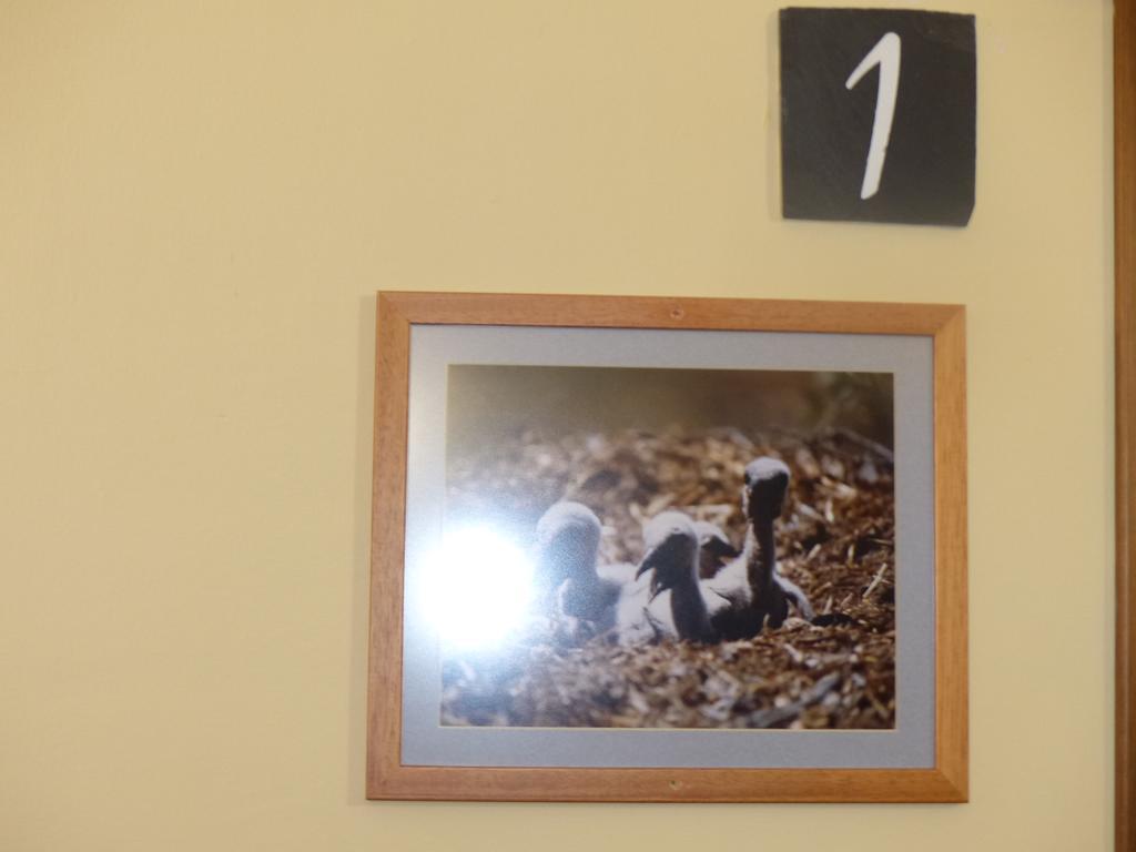 Casa Rural Pena Falcon Torrejón el Rubio エクステリア 写真
